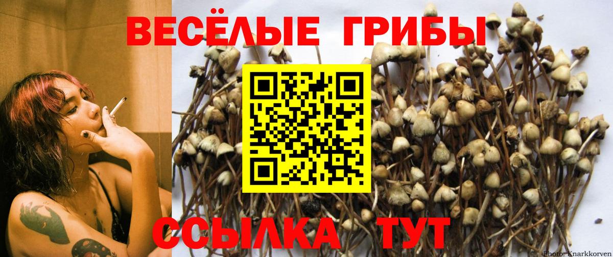 Галлюциногенные грибы мицелий Азов