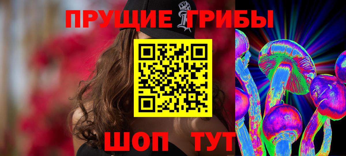 Азов  Галлюциногенные грибы Psilocybe  Вход с VPN  Галлюциногенные грибы мухоморы 